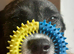 Denson needs a patient home