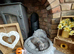 Staffordshire bull terrier Valgo champion bloodlines kc registered health tested stud dogs