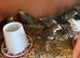 Caledon and coturnix quails