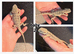 Bearded dragons