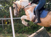 Ride & drive