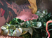 Beautiful crested gecko