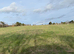 DIY Grazing