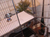 Parrot cage