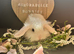 Adorable Lion Lop Bunnies Looking for Their Forever Homes