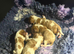 Stunning HEALTH TESTED cavalier pups