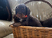 Chocolate And tan Cocker Spaniel puppies