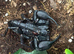 Borneo Forest Scorpion