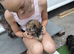 Chocolate /Tan Girl & Tortoise shell Boy MALTIPOO PUPPIES