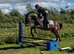 Super easy laid back gelding