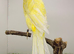 Lancashire canary male