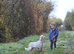 Lovely 4 year old show cocker girl, orange roan girl