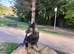 Large East Germany working line German shepherd for stud
