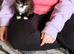 10 week old kittens