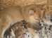 Lovingly Brought up German Spitz Puppies