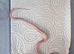 Rare blizzard cornsnake