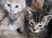 Ready to leave 24/08