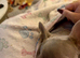 French bulldog for rehome