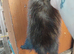 Semi angroa kits