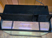 90L Fluval Roma Tank , Filter & Lights Sell or Swap for Smaller