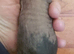 Skinny pig Babies male and females available now