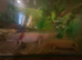 Axolotl one gold one pink