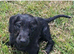 Beautiful Daxi Poos