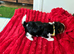 Biewer Yorkshire Terrier puppies for sale