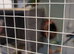 Big wooden cage for sale