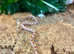 Corn Snakes at Birmingham Reptiles