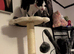 17 weeks kitten for sale
