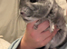Male chinchilla for sale