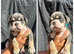 7 olde English bulldog