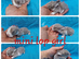 Stunning mini lop babies for reserve