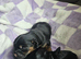 Border terrier puppies