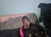 Kc registered french bulldog