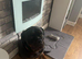 Beautiful sweet pedigree female rottweiler needs a home