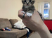 Beautiful kitties!