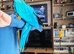 Blue and gold baby macaw hen