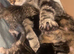 2 adorable boys.