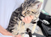 4months old kittens Available