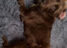 Loverly 7 month old girl