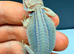 BABY BEARDED DRAGONS FOR SALE &ndash; STUNNING COLOURS & PREMIUM BLOODLINES