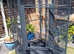 Xl parrot cage