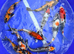 High quality koi