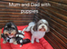 Stunning Havanese Puppies
