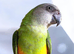 Beautiful baby Senegal
