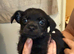 Handsome little boy