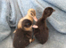3 tiny ducklings