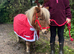 registered shetland mare